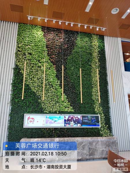 交通銀行省總行—納森(sēn)室内綠植牆